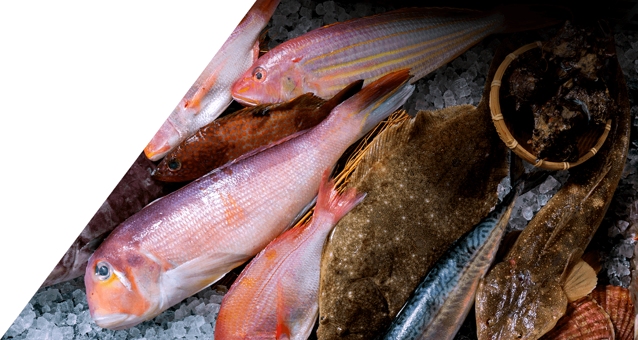 鮮魚
