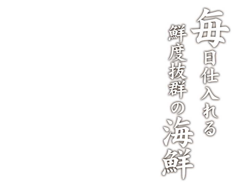 毎日仕入れる鮮度抜群の海鮮